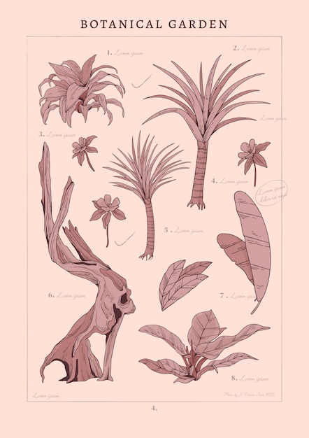 Disegno del manifesto del giardino botanico