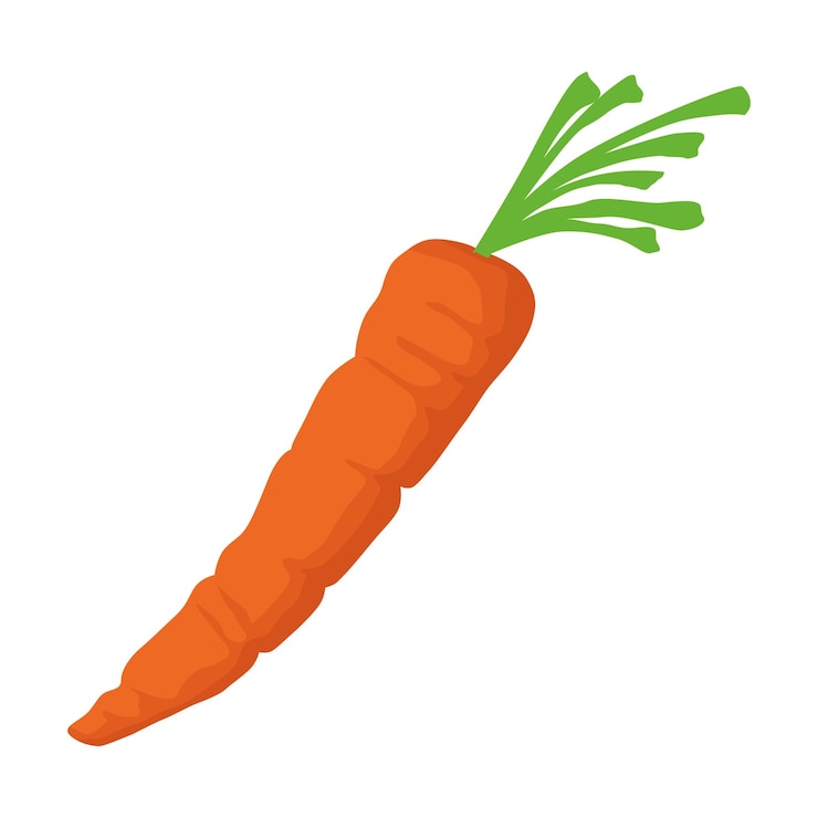 Vettore gratuito disegno isolato dell'icona della verdura fresca della carota