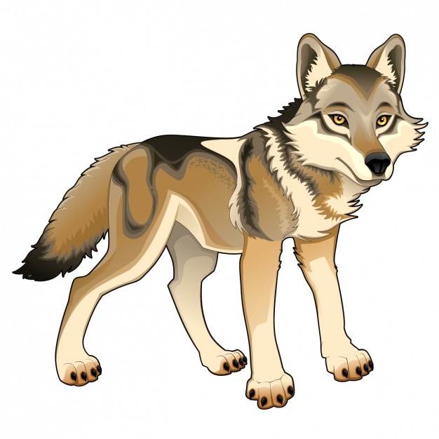 Vettore gratuito disegno lupo colorato
