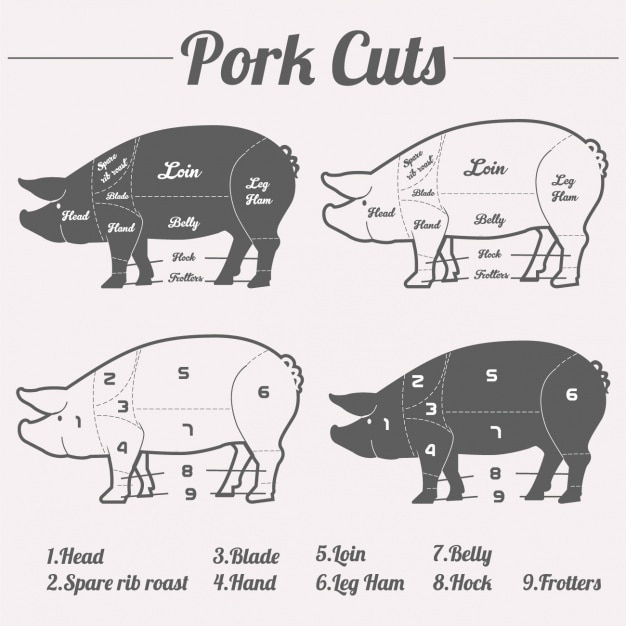 disegno tagli di carne di maiale