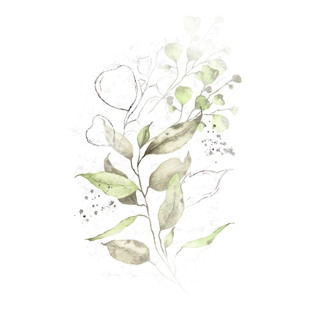 Disposizione dell'acquerello con il mazzo delle erbe d'argento delle foglie verdi isolato
