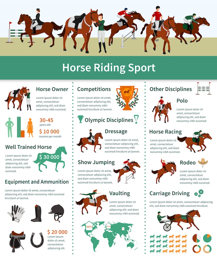 Vettore gratuito disposizione piana di infographics aumentante del cavallo con il carrello del rodeo che guida la pubblicità di vaulting di dressage