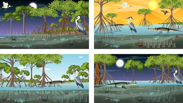 Diverse scene di paesaggi di foreste di mangrovie con animali e piante