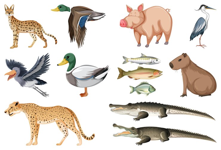Vettore gratuito diversi tipi di collezione di animali