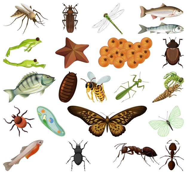 Diversi tipi di insetti e animali su sfondo bianco