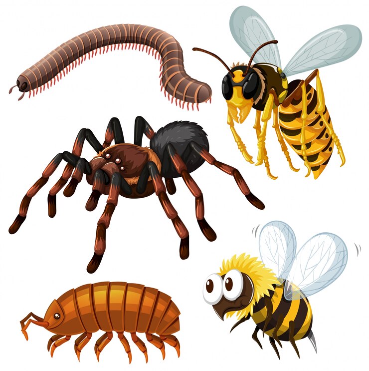Vettore gratuito diversi tipi di insetti pericolosi illustrazione