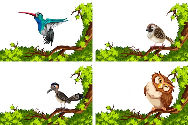 Diversi uccelli selvatici sull&#39;illustrazione del ramo