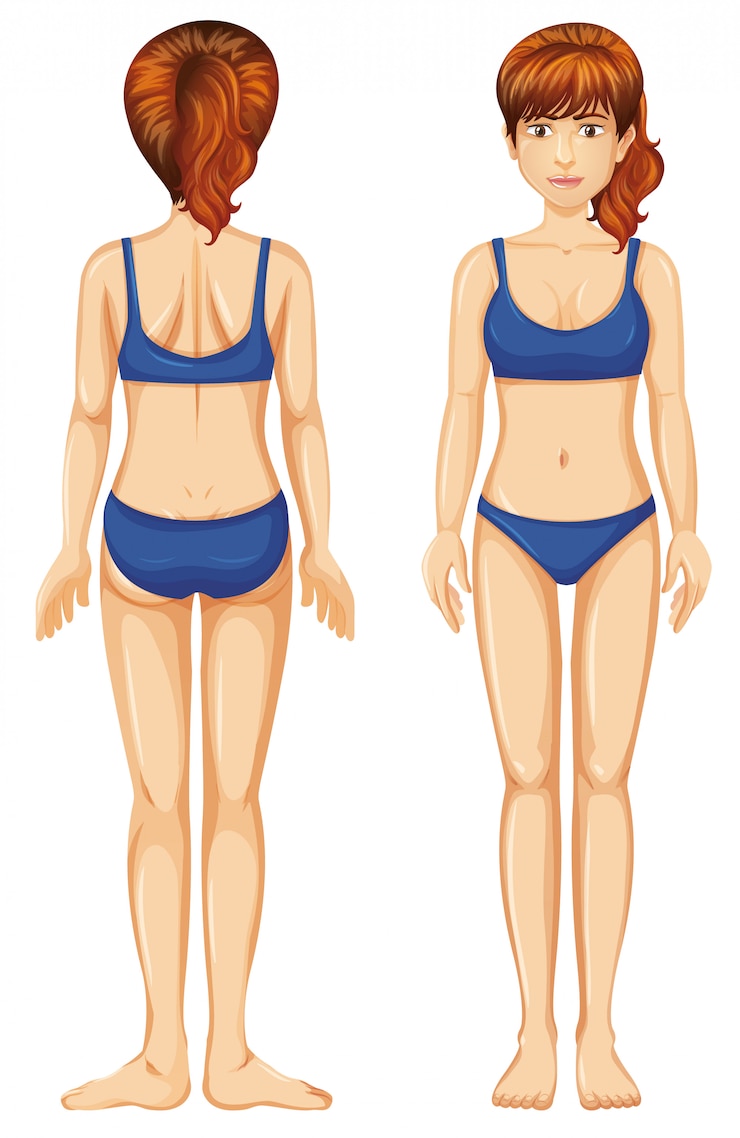 Vettore gratuito donna nella vista anteriore e posteriore del bikini blu
