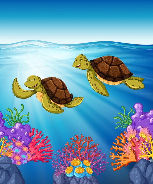 Due tartarughe nuotano sotto il mare