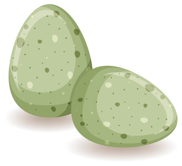 Due uova verdi su sfondo bianco