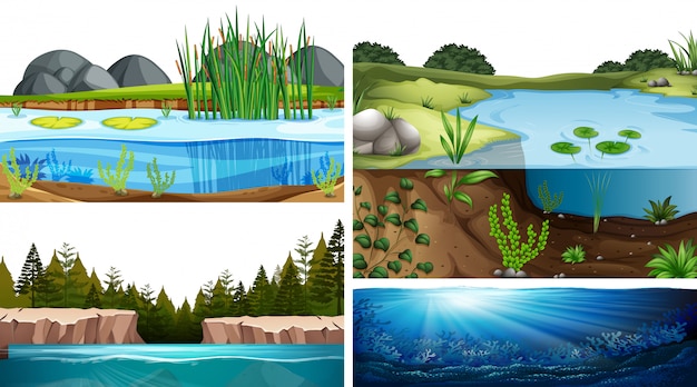 Ecosistemi acquatici con stagno, lago, fiume
