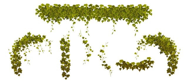 Edera rampicante con foglie di piante verdi insieme