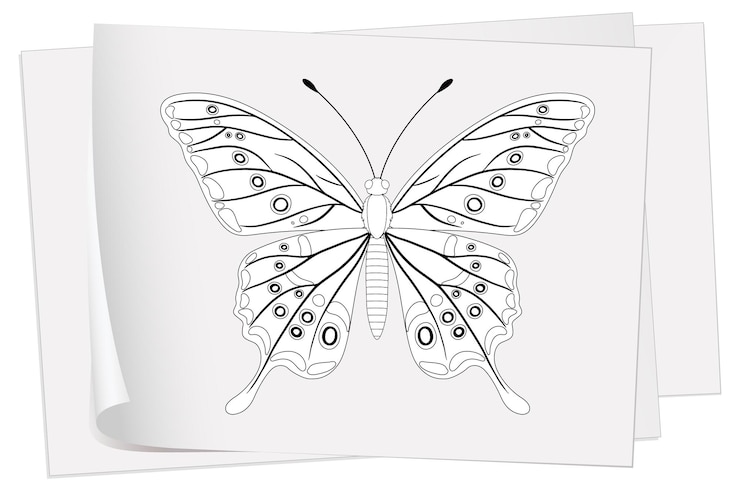 Vettore gratuito elegante illustrazione vettoriale di farfalla