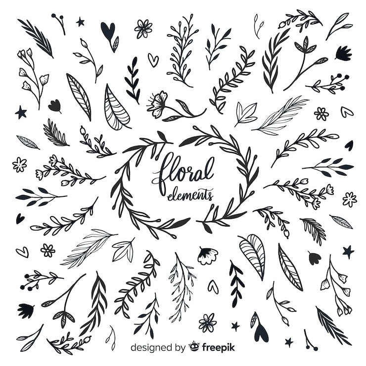 Vettore gratuito elementi decorativi floreali incolori disegnati a mano