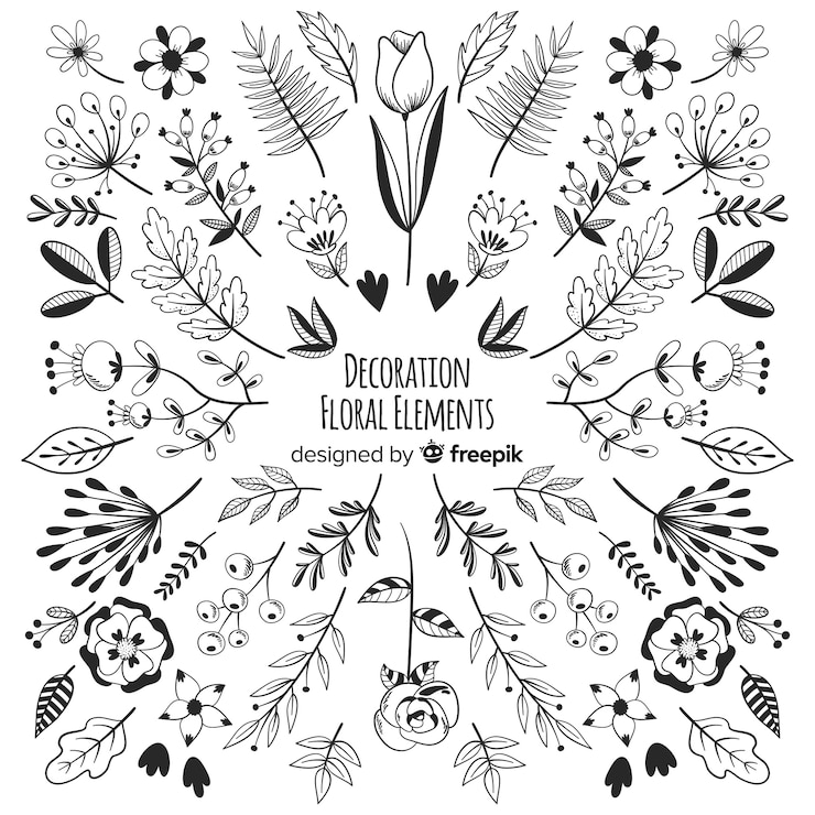 Vettore gratuito elementi di decorazione floreale disegnati a mano
