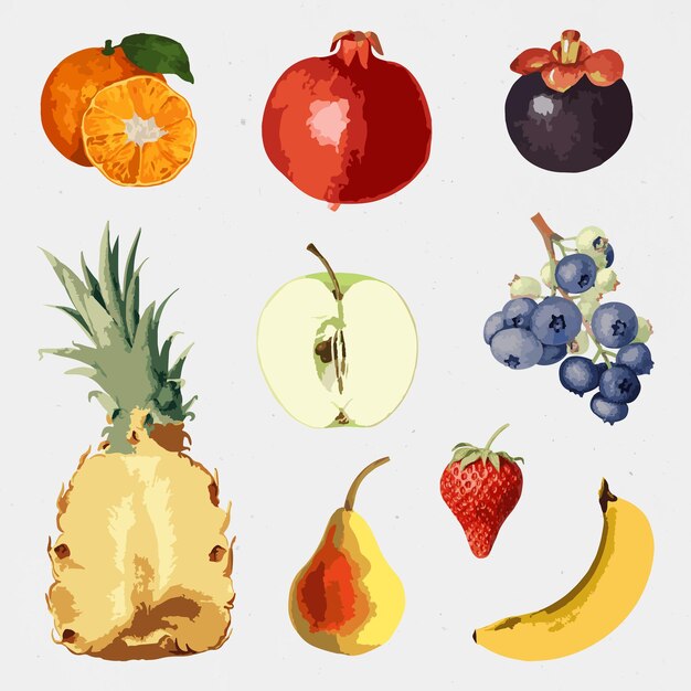 Elementi di design della collezione di adesivi di frutta tropicale vettorizzati