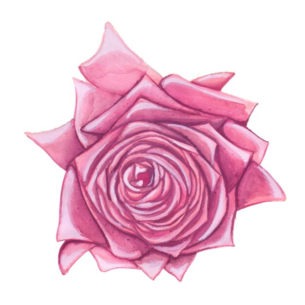Elemento astratto fiore rosa acquerello sfondo illustrazione ad alta risoluzione foto gratis