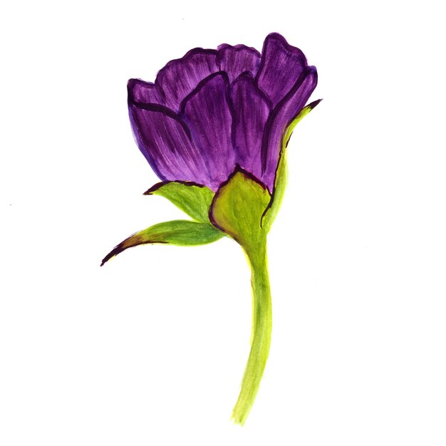 Elemento astratto fiore viola verde acquerello sfondo illustrazione ad alta risoluzione foto gratis