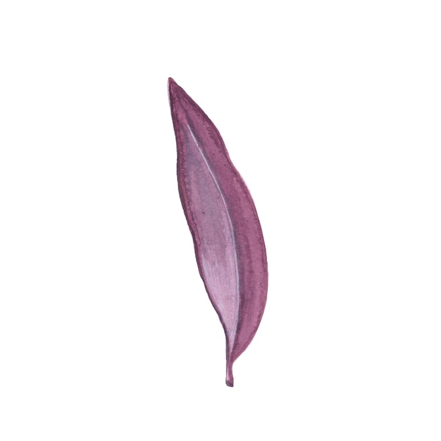 Elemento astratto foglia rosa sfondo acquerello illustrazione ad alta risoluzione foto gratis