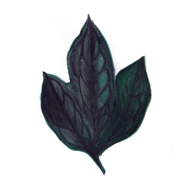 Elemento astratto foglia verde acquerello sfondo illustrazione ad alta risoluzione foto gratis