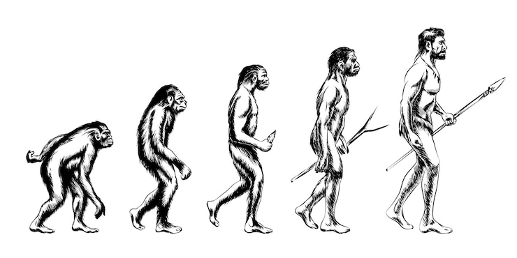 Vettore gratuito evoluzione umana. scimmia e australopiteco, neanderthal e animale
