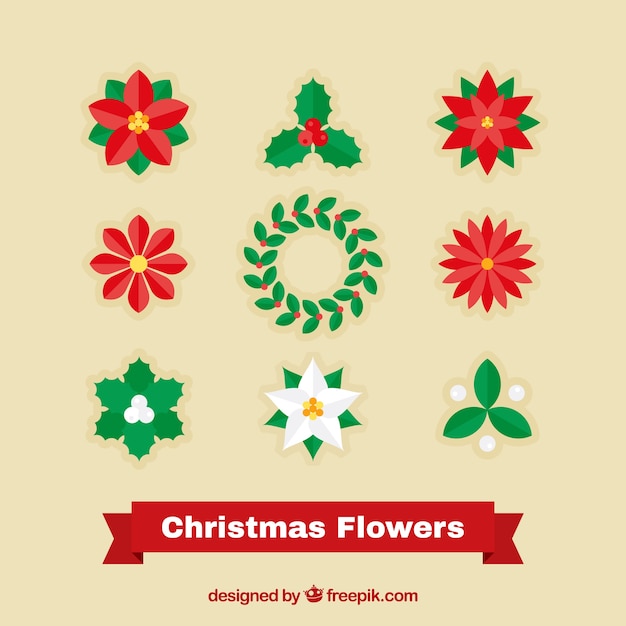 Fantastic flat pack di fiori pronto per Natale