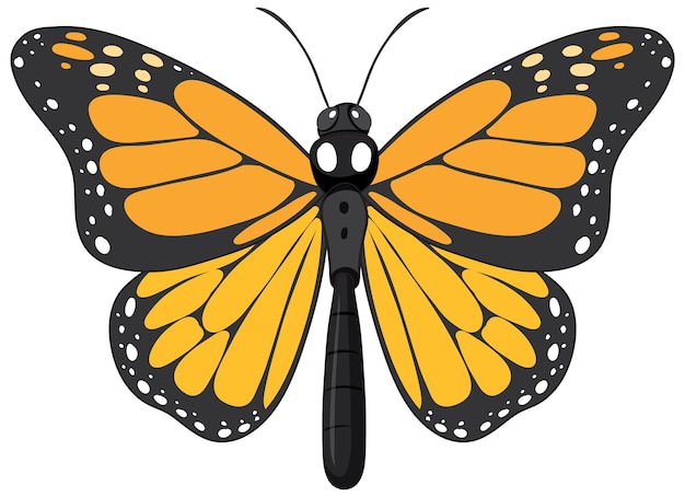 Farfalla monarca isolata su fondo bianco