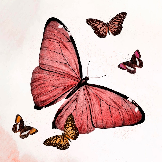 Farfalla rossa illustrazione vettoriale, remixata da immagini di pubblico dominio vintage