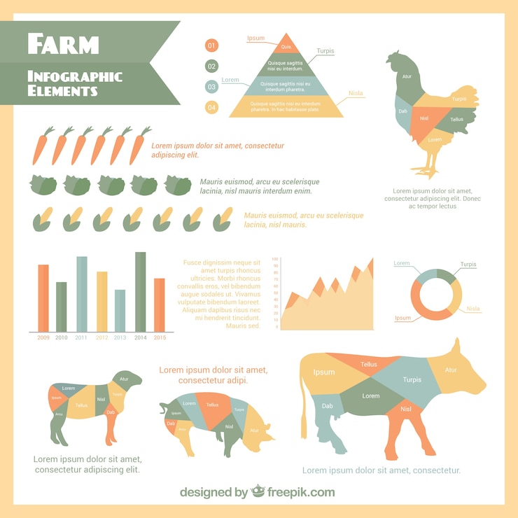 Vettore gratuito farm infografica