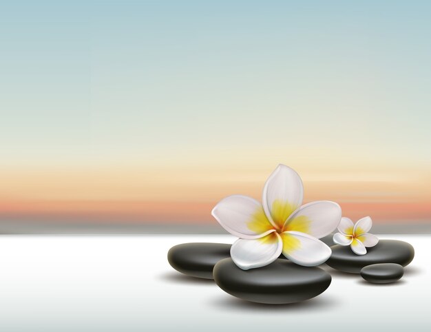 Fiore di Plumeria bianco di vettore con pietre spa zen nere su sfondo tramonto