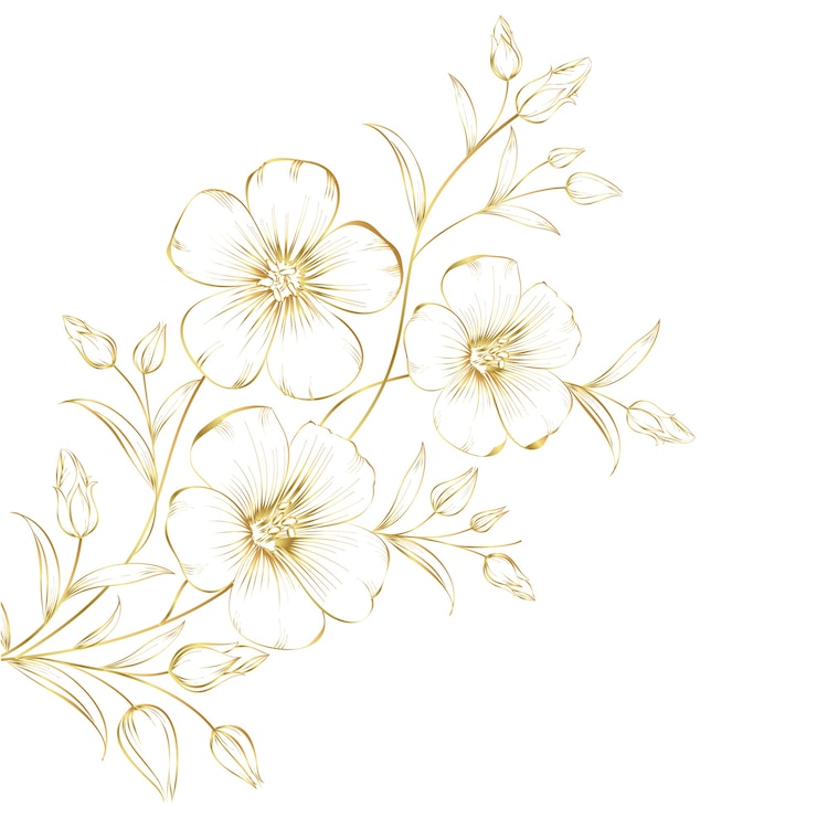 Vettore gratuito fiori di ciliegio in fiore.