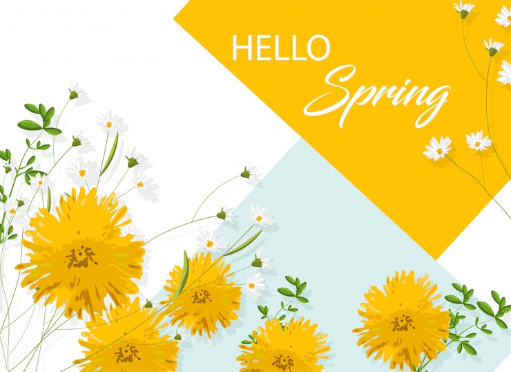 Vettore gratuito fiori di crisantemo giallo con camomilla bianca. ciao idea di primavera
