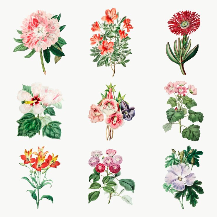 Vettore gratuito fiori disegnati a mano set botanico vintage flowers