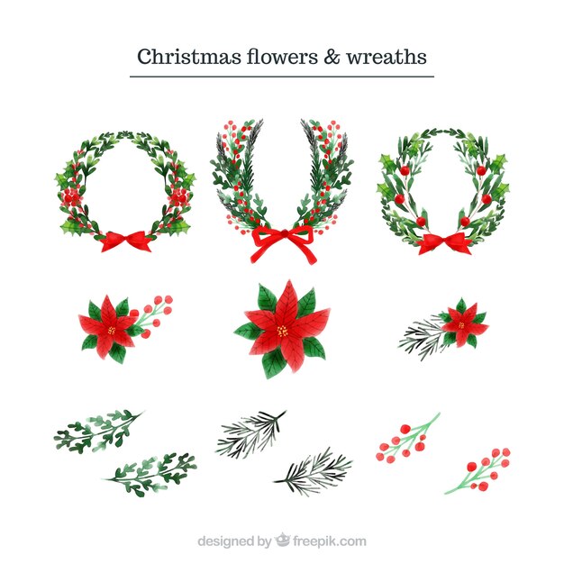 Fiori e ghirlande di Natale disegnati a mano