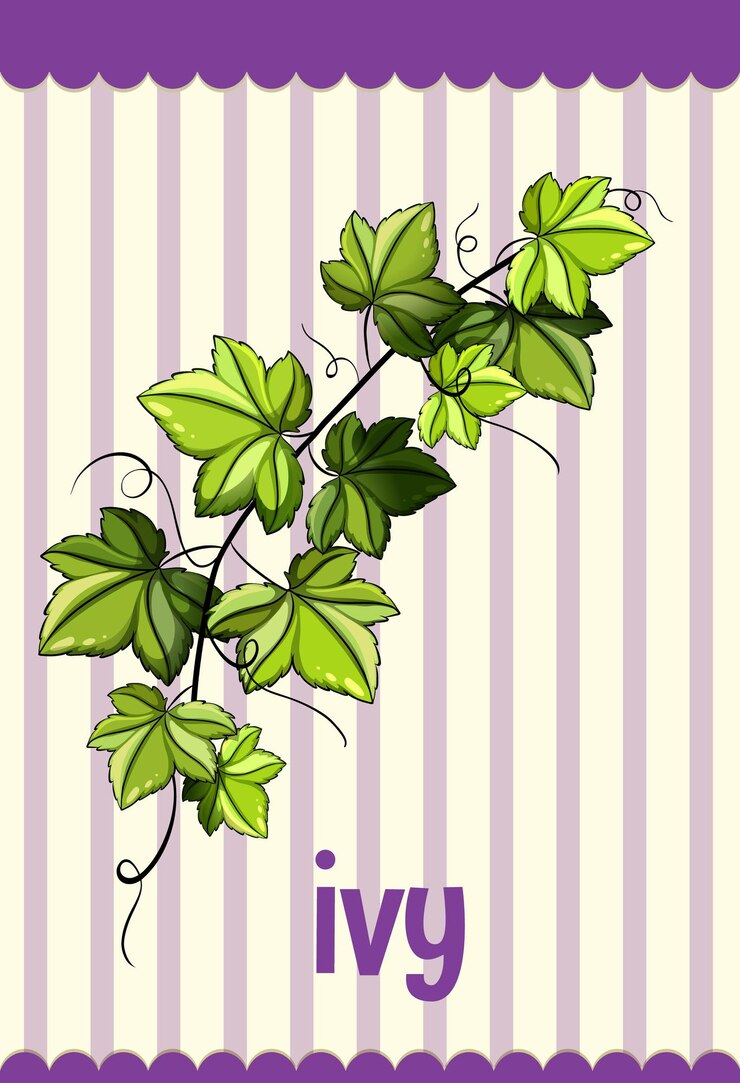 Vettore gratuito flashcard di vocabolario con la parola ivy