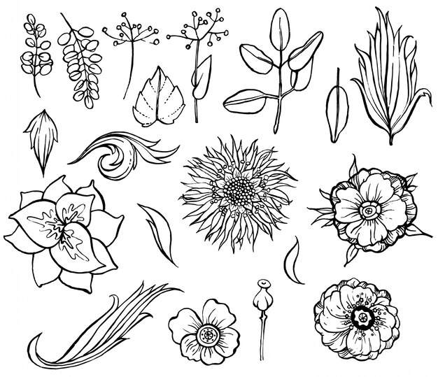 Floral pattern