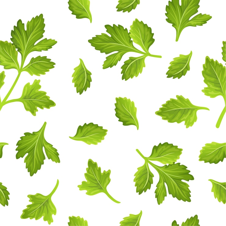 Vettore gratuito foglie di sedano prezzemolo coriandolo seamless pattern