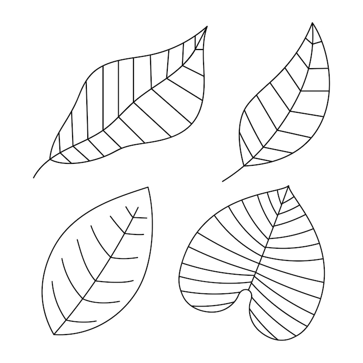 Vettore gratuito foglie disegnate a mano