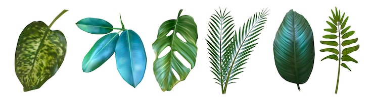 Vettore gratuito foglie tropicali verdi realistiche