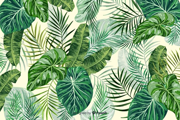 Foglie verdi tropicali sfondo decorativo