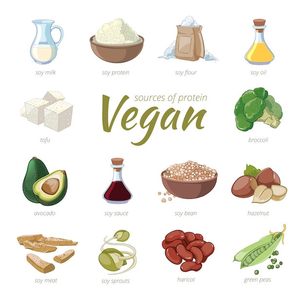 Fonti di proteine vegane. Clipart di proteine vegetali in stile cartone animato. Piselli e fagioli bianchi, nocciole e avocado, broccoli e soia