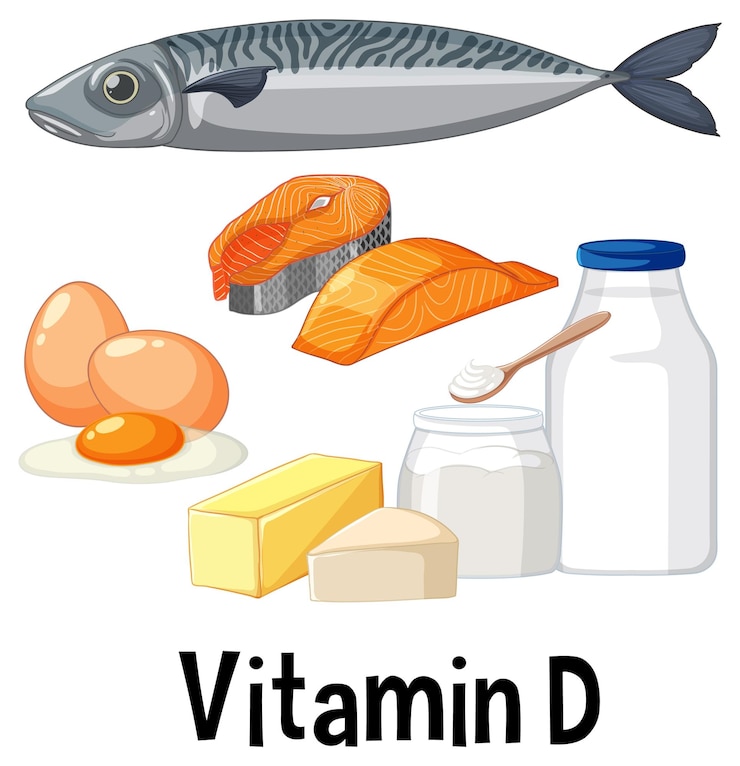 Vettore gratuito fonti salutari di proteine e vitamine
