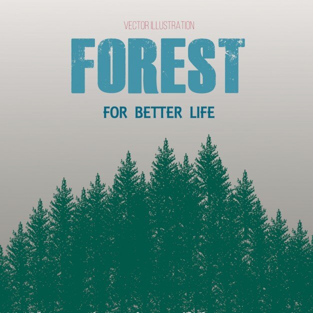 foresta illustrazione flayer