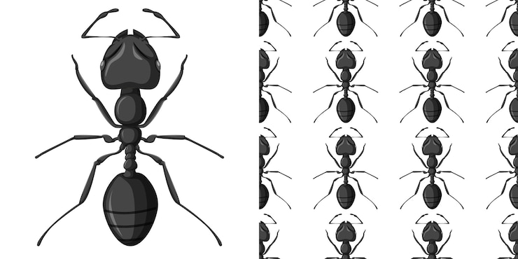 Vettore gratuito formica carpentiere isolata su bianco e formica carpentiere senza soluzione di continuità