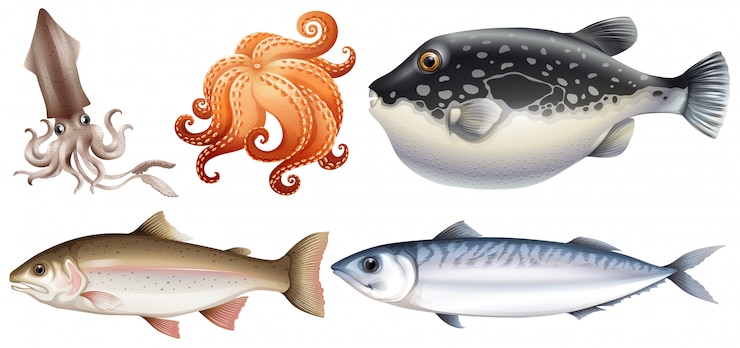 Vettore gratuito frutti di mare