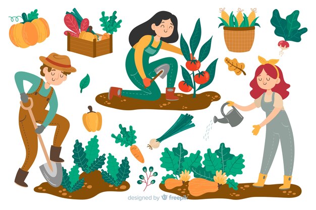 Gente agricola che lavora sul campo