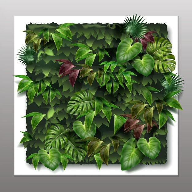 giardino verticale quadrato o parete verde con foglie verdi tropicali