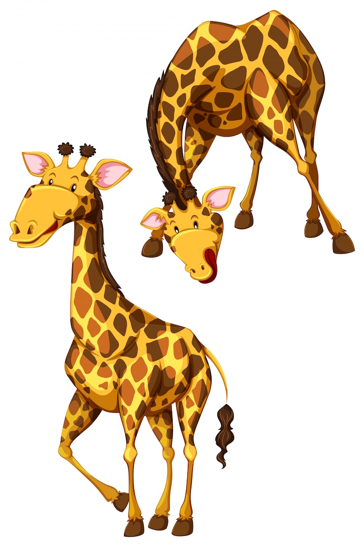 Vettore gratuito giraffe divertenti