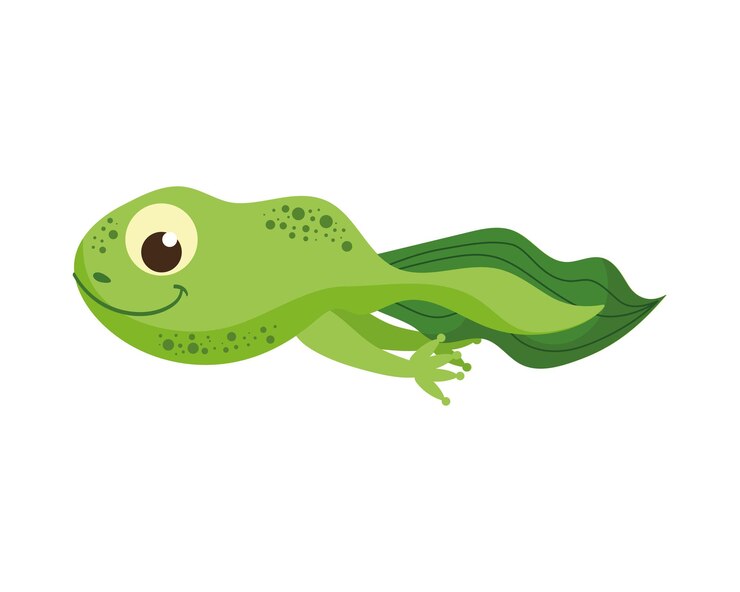 Vettore gratuito girino verde sorridente del bambino