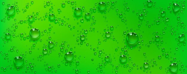 Gocce d'acqua di condensazione su sfondo verde pioggia